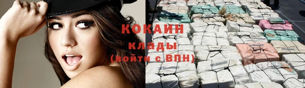 прущие грибы Зеленокумск