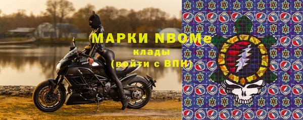 прущие грибы Зеленокумск