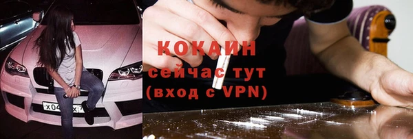 прущие грибы Зеленокумск