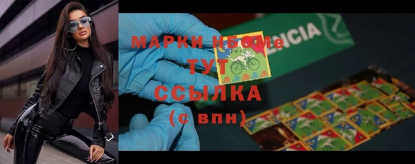 прущие грибы Зеленокумск